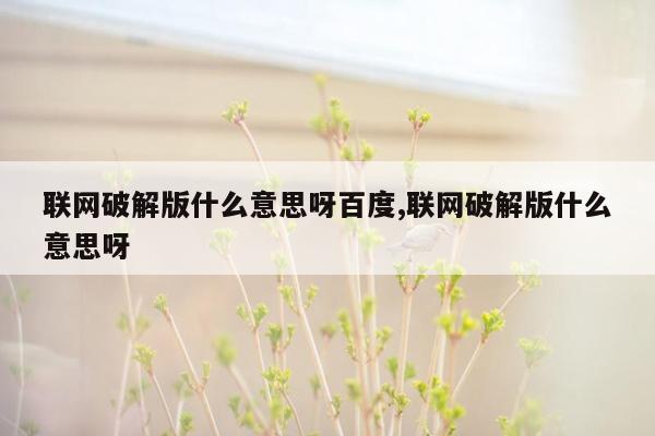 联网破解版什么意思呀百度,联网破解版什么意思呀