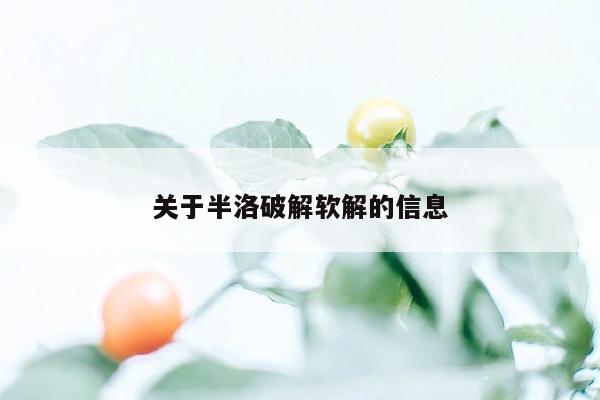 关于半洛破解软解的信息