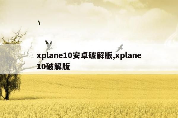 xplane10安卓破解版,xplane10破解版