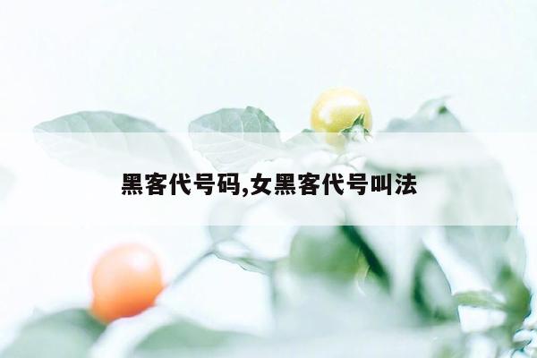 黑客代号码,女黑客代号叫法