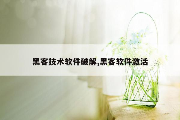 黑客技术软件破解,黑客软件激活