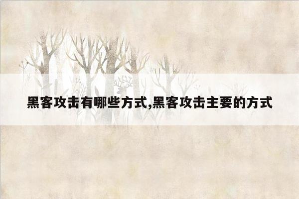 黑客攻击有哪些方式,黑客攻击主要的方式
