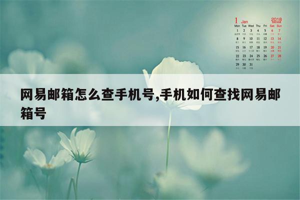 网易邮箱怎么查手机号,手机如何查找网易邮箱号