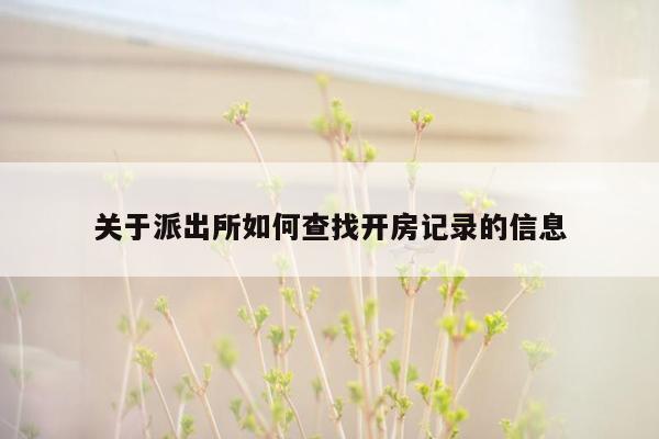 关于派出所如何查找开房记录的信息