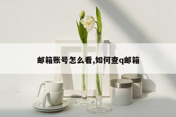 邮箱账号怎么看,如何查q邮箱