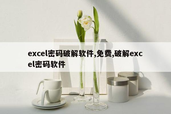 excel密码破解软件,免费,破解excel密码软件