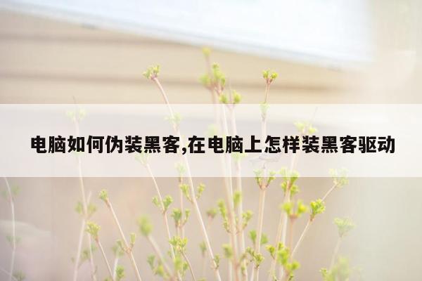 电脑如何伪装黑客,在电脑上怎样装黑客驱动