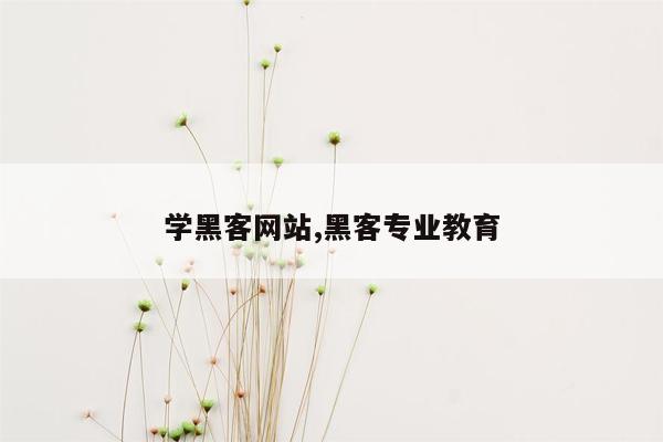 学黑客网站,黑客专业教育