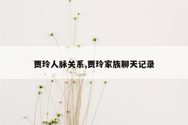 贾玲人脉关系,贾玲家族聊天记录