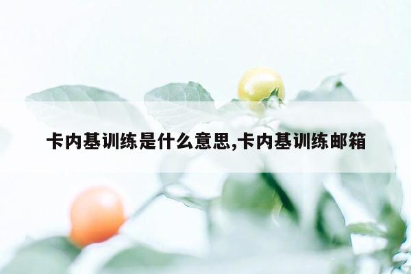 卡内基训练是什么意思,卡内基训练邮箱