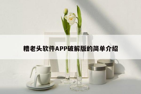 糟老头软件APP破解版的简单介绍