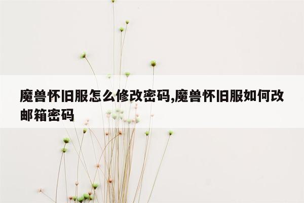 魔兽怀旧服怎么修改密码,魔兽怀旧服如何改邮箱密码