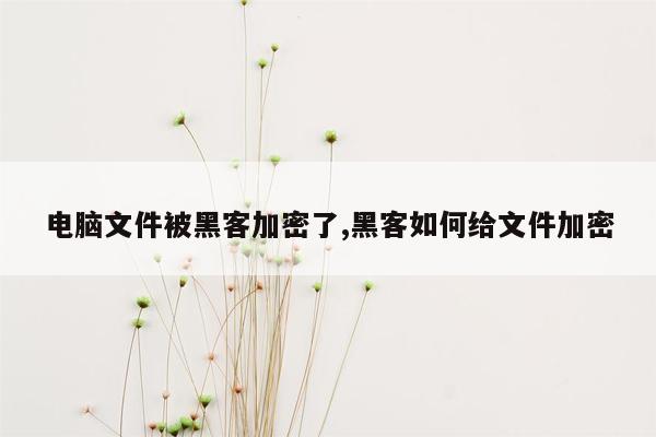 电脑文件被黑客加密了,黑客如何给文件加密