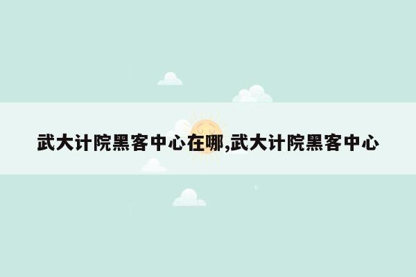 武大计院黑客中心在哪,武大计院黑客中心