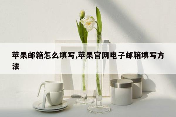 苹果邮箱怎么填写,苹果官网电子邮箱填写方法