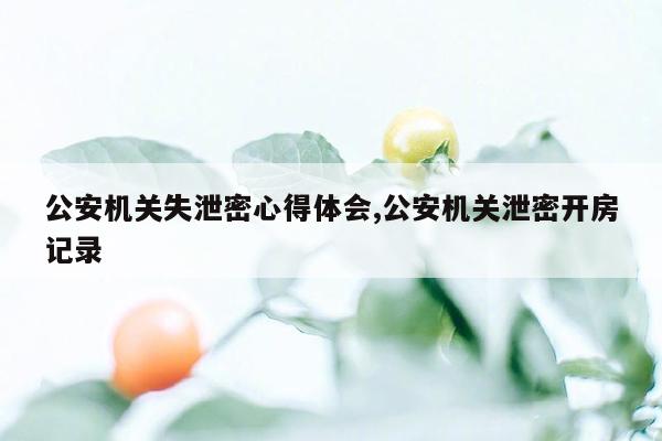 公安机关失泄密心得体会,公安机关泄密开房记录