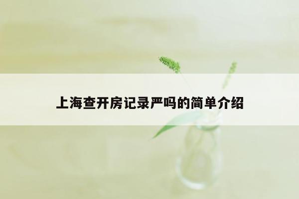 上海查开房记录严吗的简单介绍