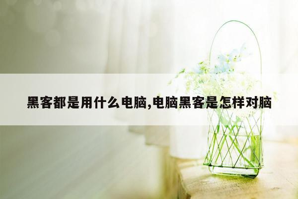 黑客都是用什么电脑,电脑黑客是怎样对脑