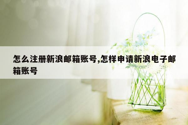 怎么注册新浪邮箱账号,怎样申请新浪电子邮箱账号