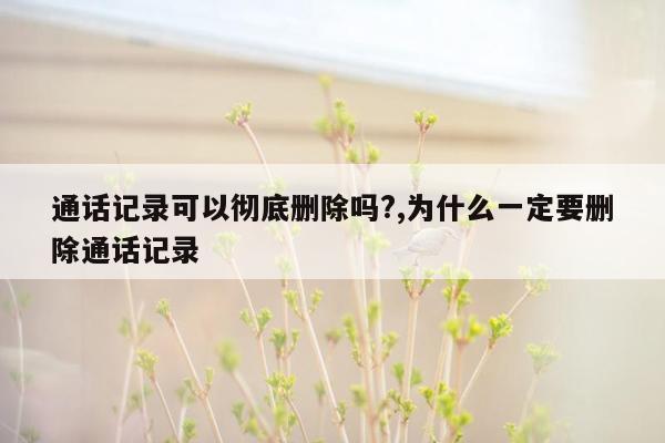 通话记录可以彻底删除吗?,为什么一定要删除通话记录