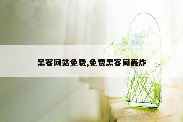 黑客网站免费,免费黑客网轰炸