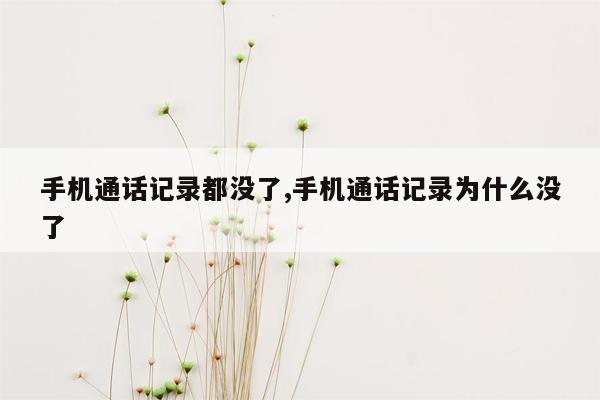 手机通话记录都没了,手机通话记录为什么没了