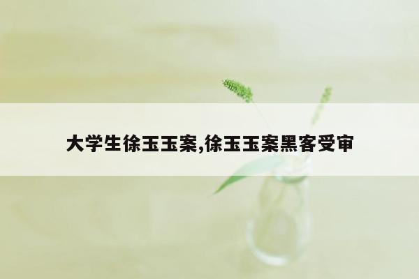 大学生徐玉玉案,徐玉玉案黑客受审