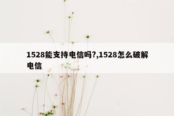 1528能支持电信吗?,1528怎么破解电信