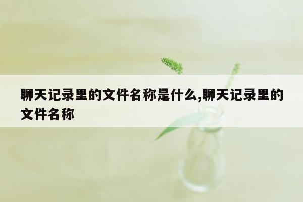 聊天记录里的文件名称是什么,聊天记录里的文件名称