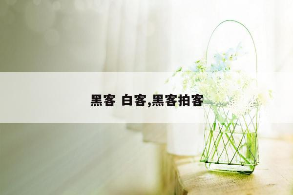 黑客 白客,黑客拍客