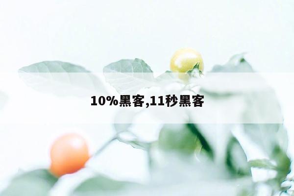 10%黑客,11秒黑客