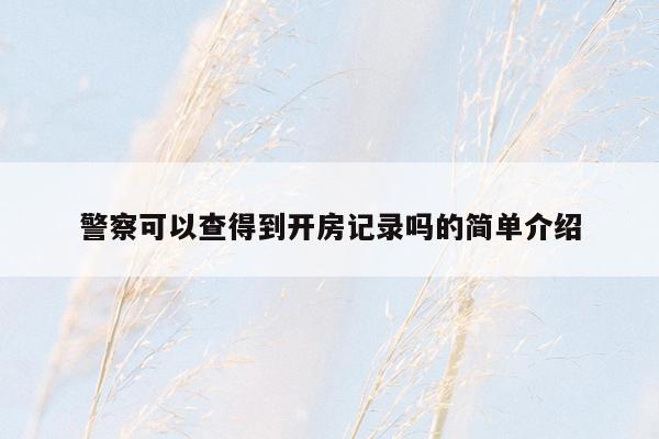警察可以查得到开房记录吗的简单介绍