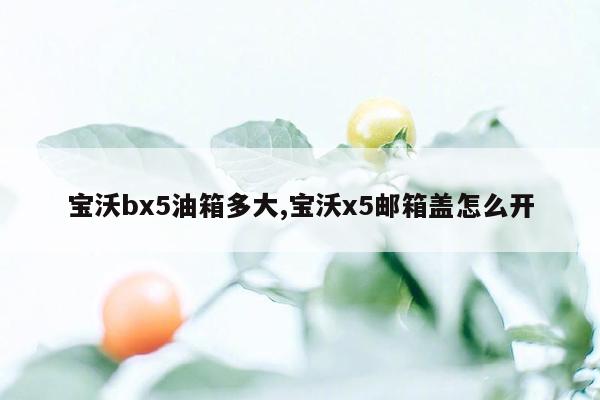 宝沃bx5油箱多大,宝沃x5邮箱盖怎么开