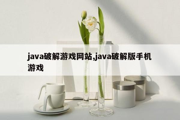 java破解游戏网站,java破解版手机游戏