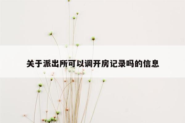 关于派出所可以调开房记录吗的信息