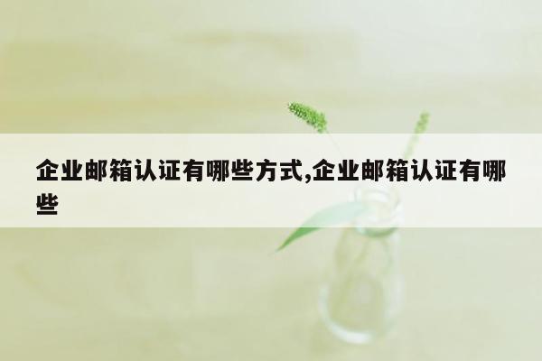 企业邮箱认证有哪些方式,企业邮箱认证有哪些