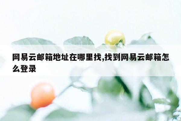 网易云邮箱地址在哪里找,找到网易云邮箱怎么登录