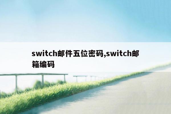switch邮件五位密码,switch邮箱编码
