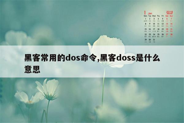 黑客常用的dos命令,黑客doss是什么意思