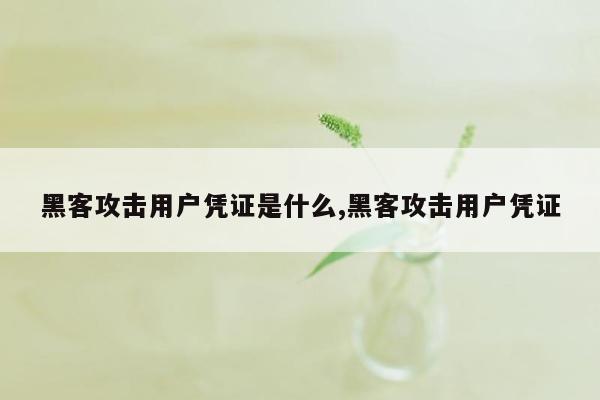 黑客攻击用户凭证是什么,黑客攻击用户凭证