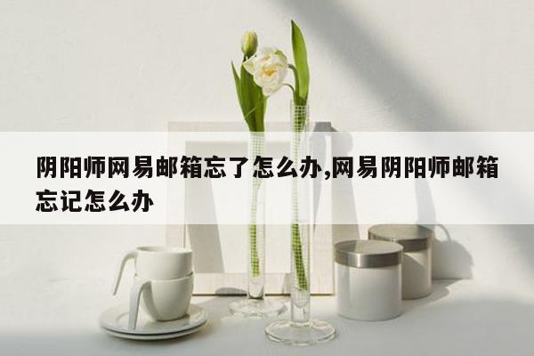 阴阳师网易邮箱忘了怎么办,网易阴阳师邮箱忘记怎么办