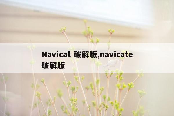 Navicat 破解版,navicate破解版