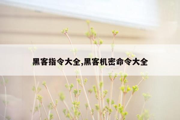 黑客指令大全,黑客机密命令大全