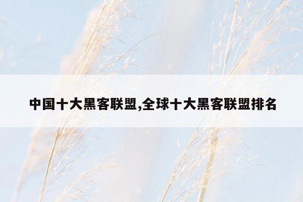 中国十大黑客联盟,全球十大黑客联盟排名