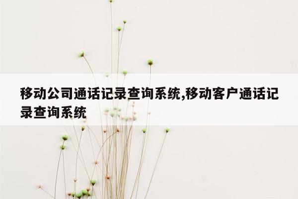 移动公司通话记录查询系统,移动客户通话记录查询系统