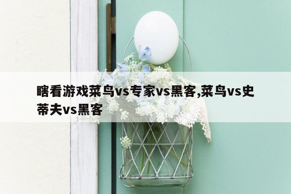 瞎看游戏菜鸟vs专家vs黑客,菜鸟vs史蒂夫vs黑客