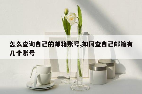 怎么查询自己的邮箱账号,如何查自己邮箱有几个账号