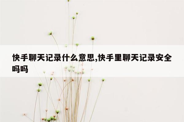 快手聊天记录什么意思,快手里聊天记录安全吗吗