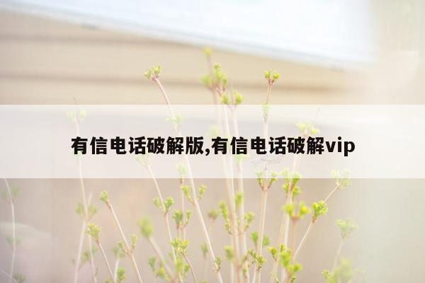 有信电话破解版,有信电话破解vip