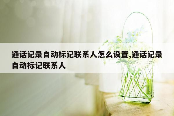 通话记录自动标记联系人怎么设置,通话记录自动标记联系人